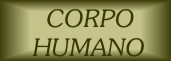 corpo humano